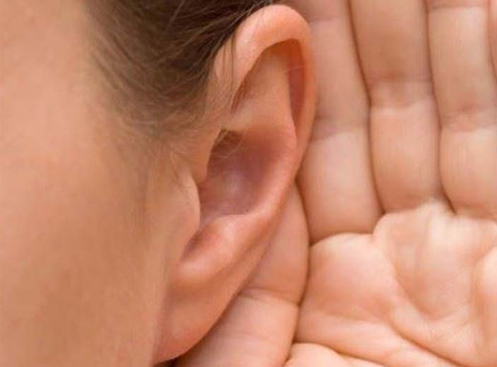 Ear Science Centre Specialised in hearing aids, cochlear implants and